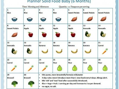Carta Makanan Pepejal Bayi (6 Bulan) drp FB Arlizha Arip